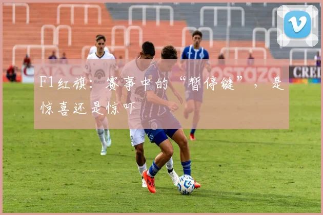 F1红旗：赛事中的“暂停键”，是惊喜还是惊吓