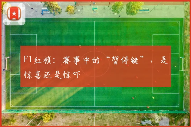 F1红旗：赛事中的“暂停键”，是惊喜还是惊吓